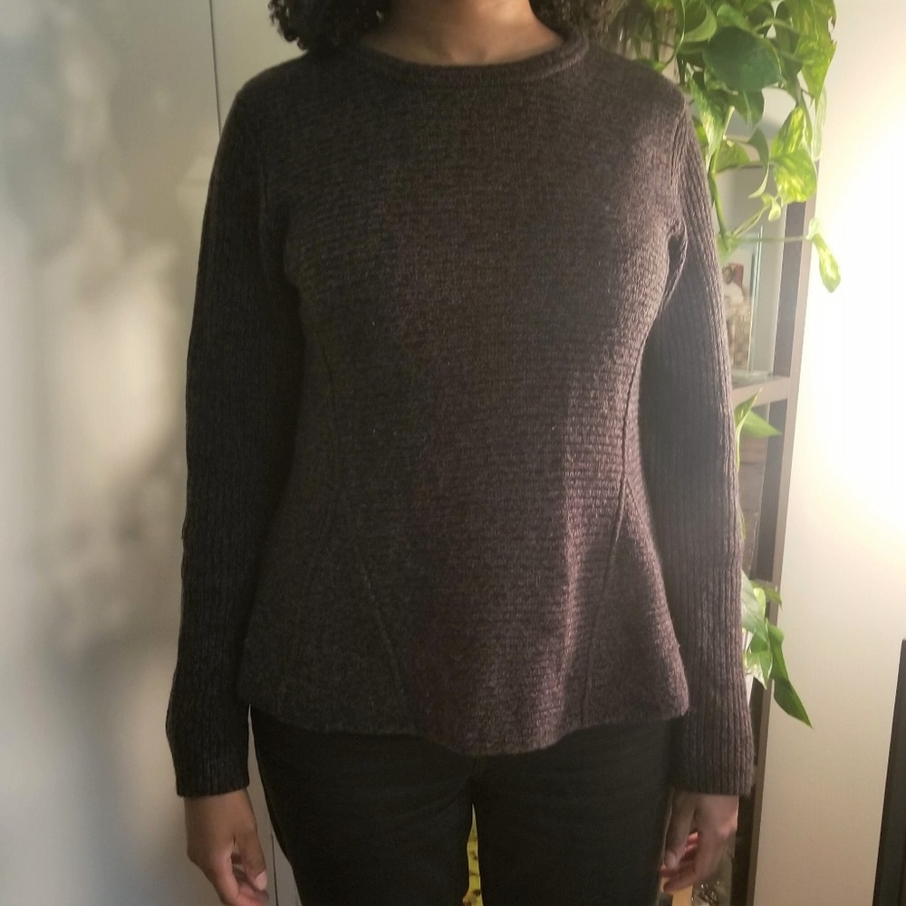Max Studio Brown Sweater